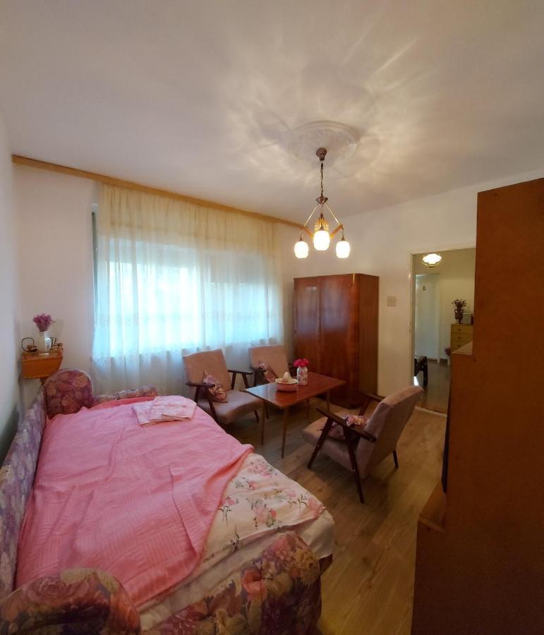 Vila Elena Appartement Kikinda Buitenkant foto